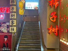 -柿子树炭烤羊腿(金台路店)