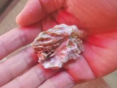 -京秀缘蒸汽海鲜农家菜大馅蒸饺