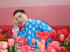 -荷兰花海