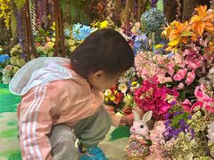 -正佳雨林生态植物园