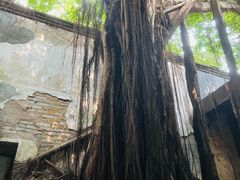 -文儒九号·闽菜馆(三坊七巷店)