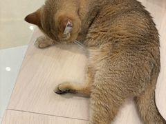 -首开·龙湖成都西宸天街