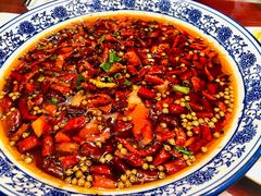 水煮肉片-邵年鸽(杨庄店)
