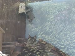 -青藏高原野生动物园
