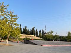 -永定河休闲森林公园