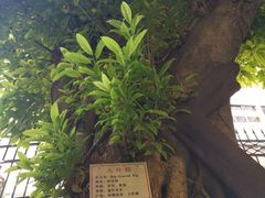 -南越王博物院(王宫展区)