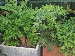 -La Terre乐田(万象城店)