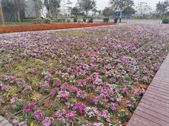 -大旗头古村
