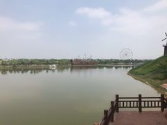 -金卉庄园