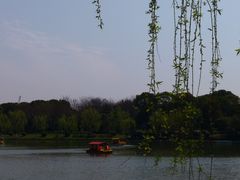 -上海鲜花港