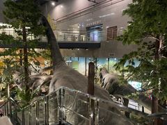 -湖南省地质博物馆