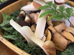 -花菇朵·云山雀 ll 野生菌锅·野果酸汤·精品滇菜(万柳店)