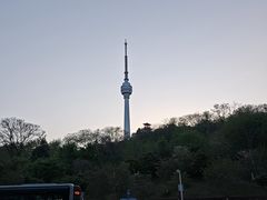 -龟山风景区-龟山电视塔