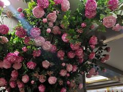 -陶然居·重庆菜(两江会馆店)