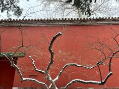 -北京市劳动人民文化宫(太庙)