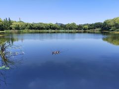-北坞公园