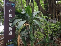 -海珠湖公园