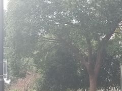 -上海旅游集散中心(万体站)