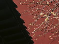 -钱王祠