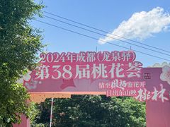 -桃源山庄·水蜜桃采摘·柴火鸡·烧烤团建(龙泉山店)