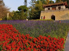 -深圳国际园林花卉博览园