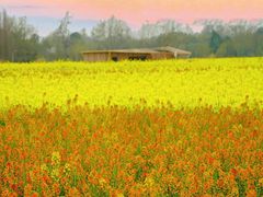 -中国天府农业博览园