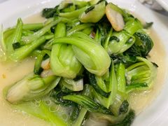 清炒小白菜-青岛蓝海大饭店·渔歌舫(李沧店)