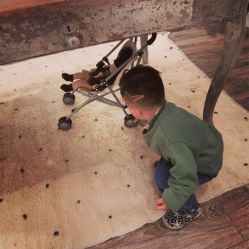 -SoSweet香港专业儿童美发沙龙(IFS国际金融店/春熙路店)