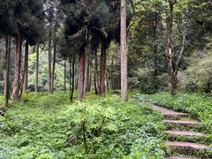 -龙苍沟森林公园