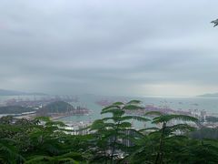 -小南山公园