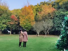 -凤凰沟景区