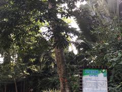 -海南热带野生动植物园