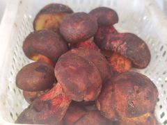 -菌之家·专业纯野生菌火锅·特色炒菌