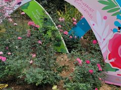 -人民公园(罗湖区)