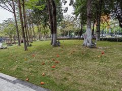 -深圳市人才园(深南大道店)