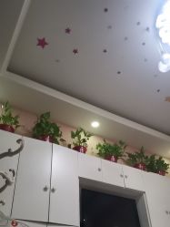 -香薇妮丝·定制减肥·身材管理