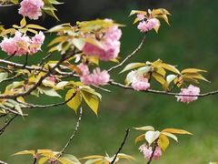 -宜兴龙背山森林公园