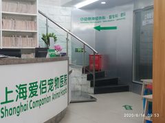 -爱侣宠医·鹦鹉专科·小型哺乳类·异宠专科(灵石路店)