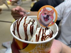 那不勒斯朗姆冰激凌-逗柴咖啡屋·狗咖猫咖宠物桌游