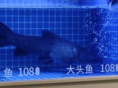 -七采菌园·野生菌石锅鱼(环城北路店)