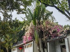 -深圳国际园林花卉博览园