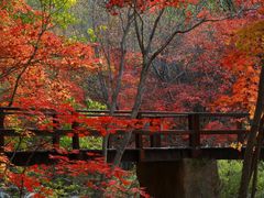 -本溪老边沟风景区