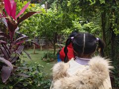 -呀路古热带植物园