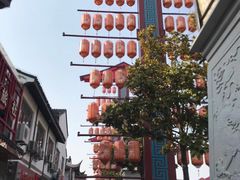 -东台西溪天仙缘景区