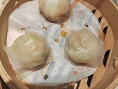 -点都德·毕德寮