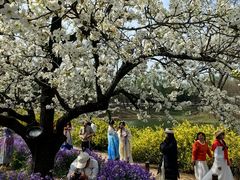 -江苏三台山国家森林公园