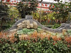 -南宫五洲植物乐园