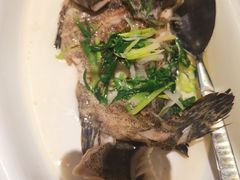 -徐记海鲜(梅溪新天地店)