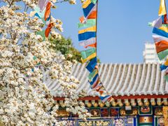 -西安市广仁寺