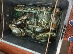 -無招牌海鮮(芽笼店)